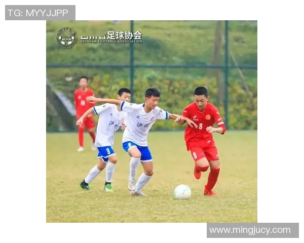 四川内江足球球星盘点及其成就发展历程分析 四川内江足球球星盘点及其成就发展历程分析